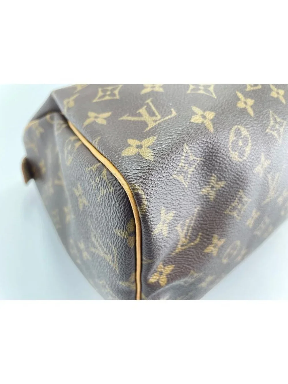 Louis Vuitton Handbag Speedy